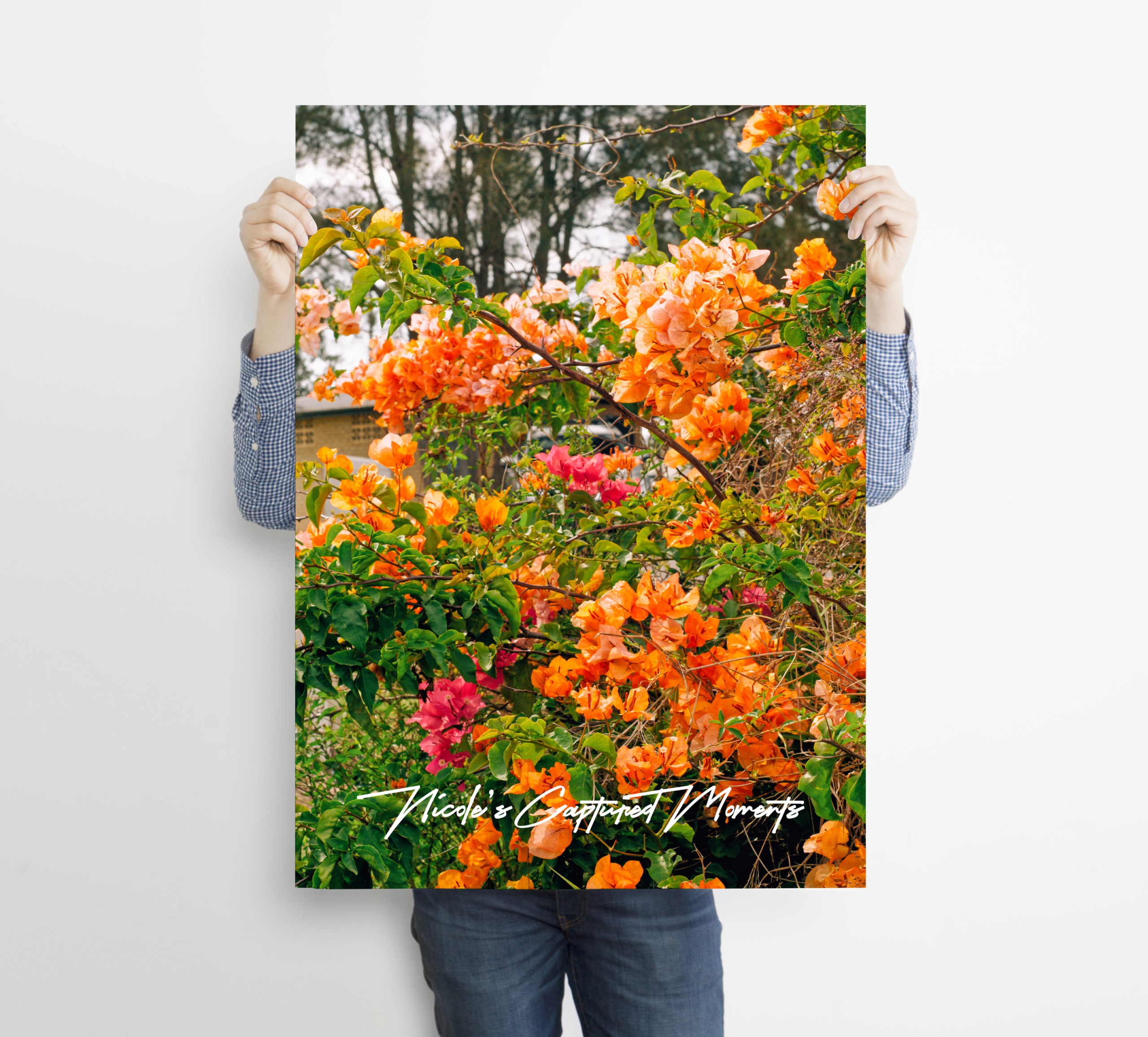 Sensory Gardens - Fine Art Poster