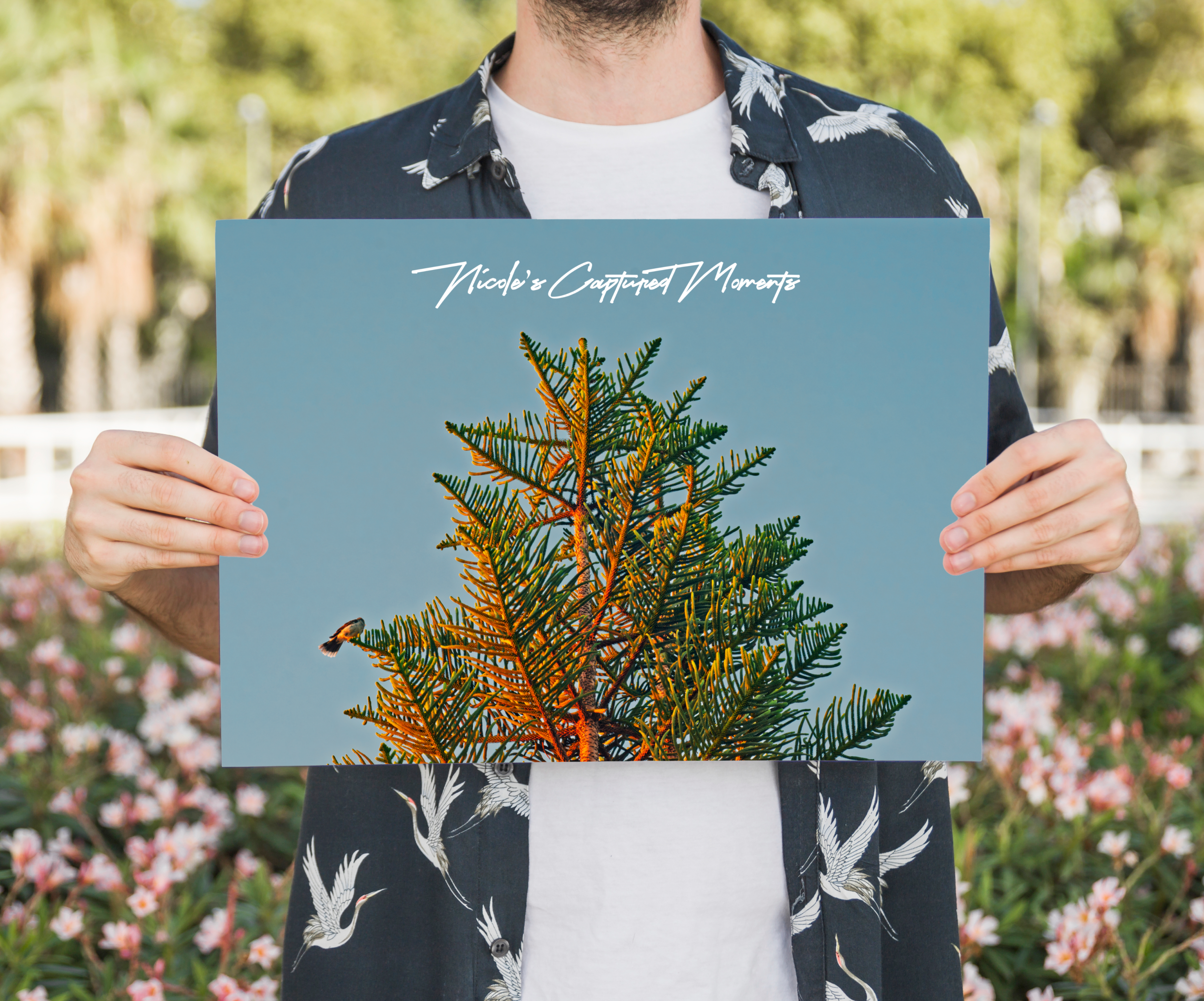 North Entrance Beach - Fine Art Poster