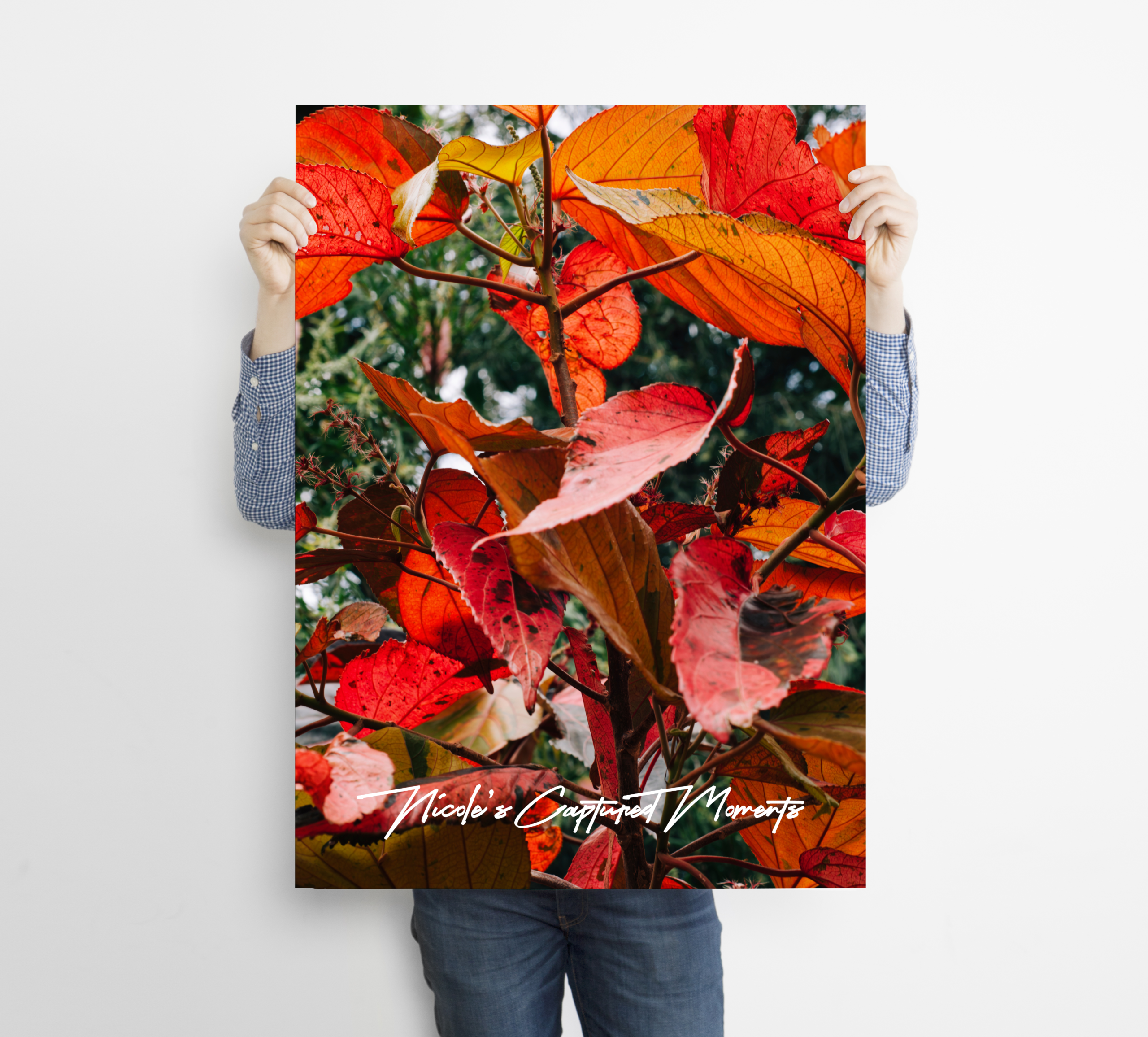 Sensory Gardens - Fine Art Poster