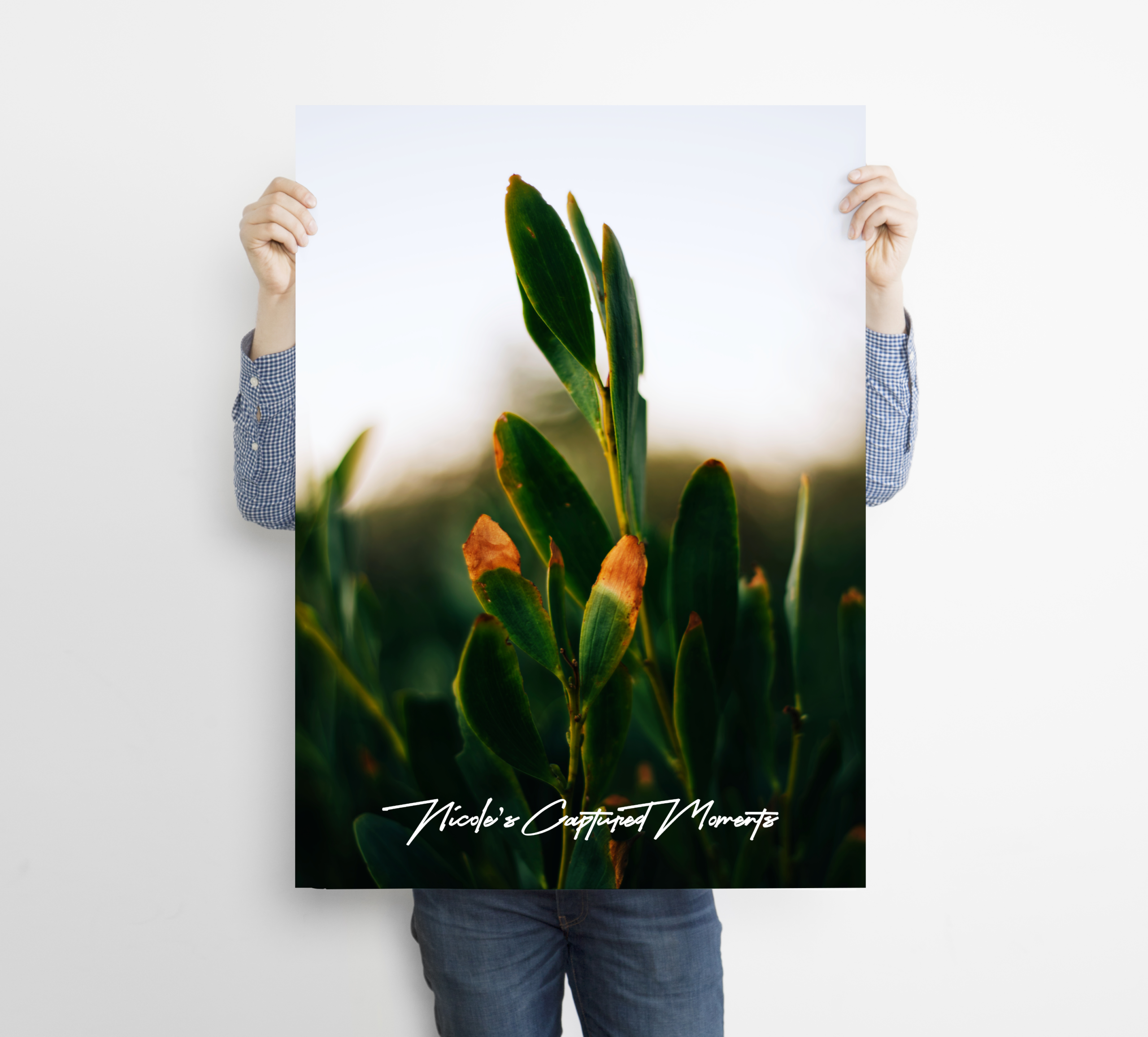 North Entrance Beach - Fine Art Poster