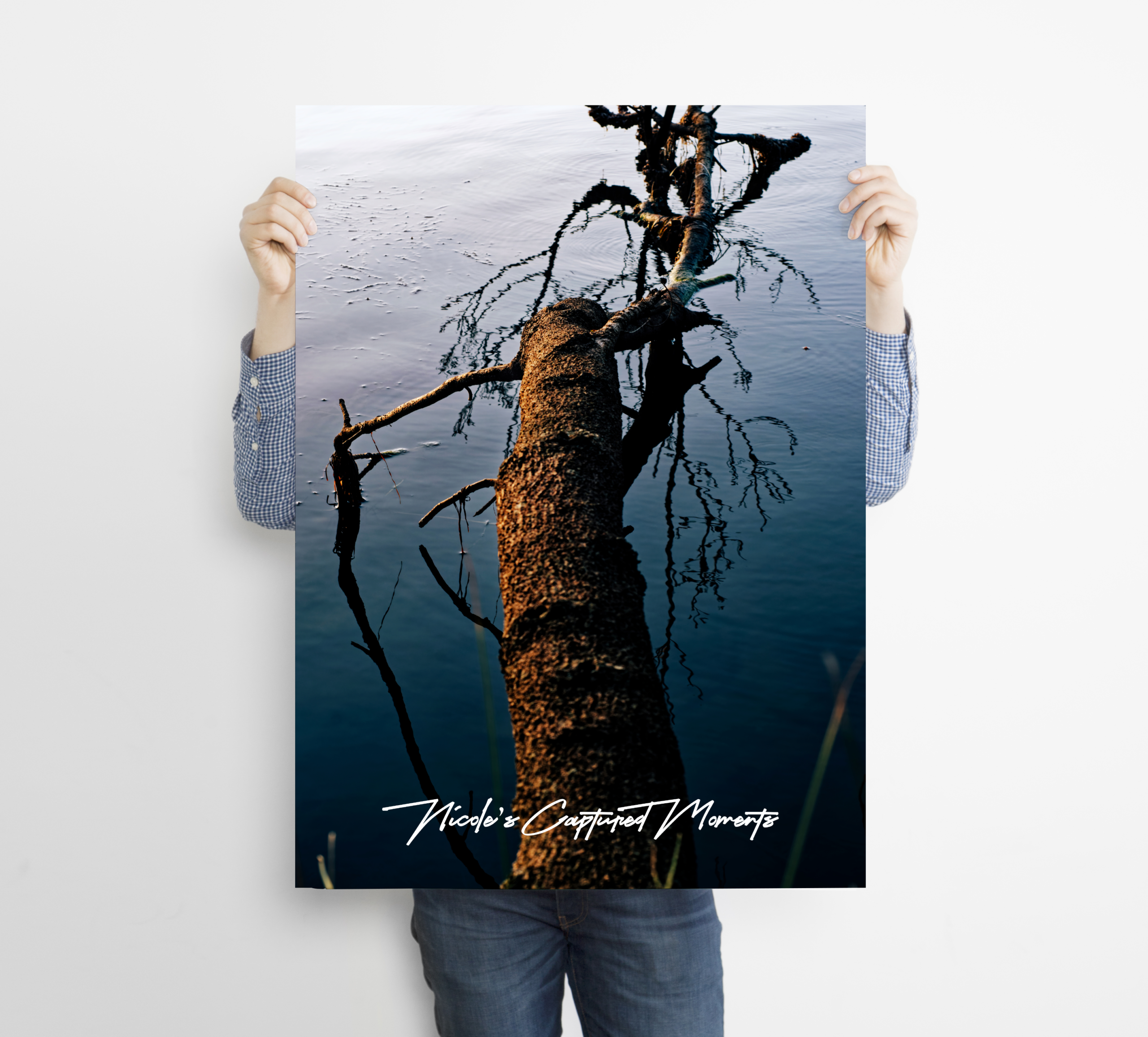Terilbah Reserve - Fine Art Poster
