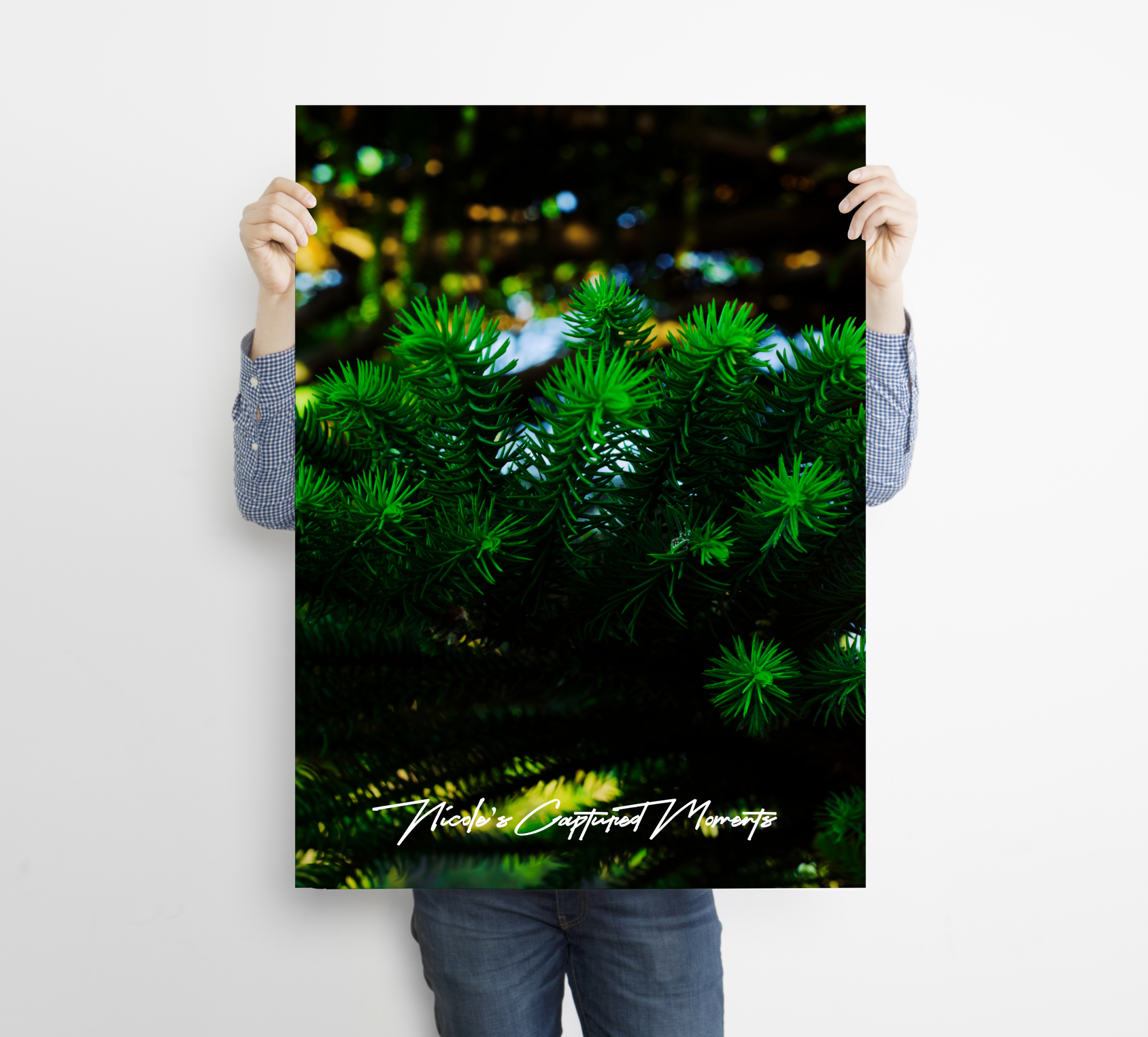 Sensory Gardens - Fine Art Poster
