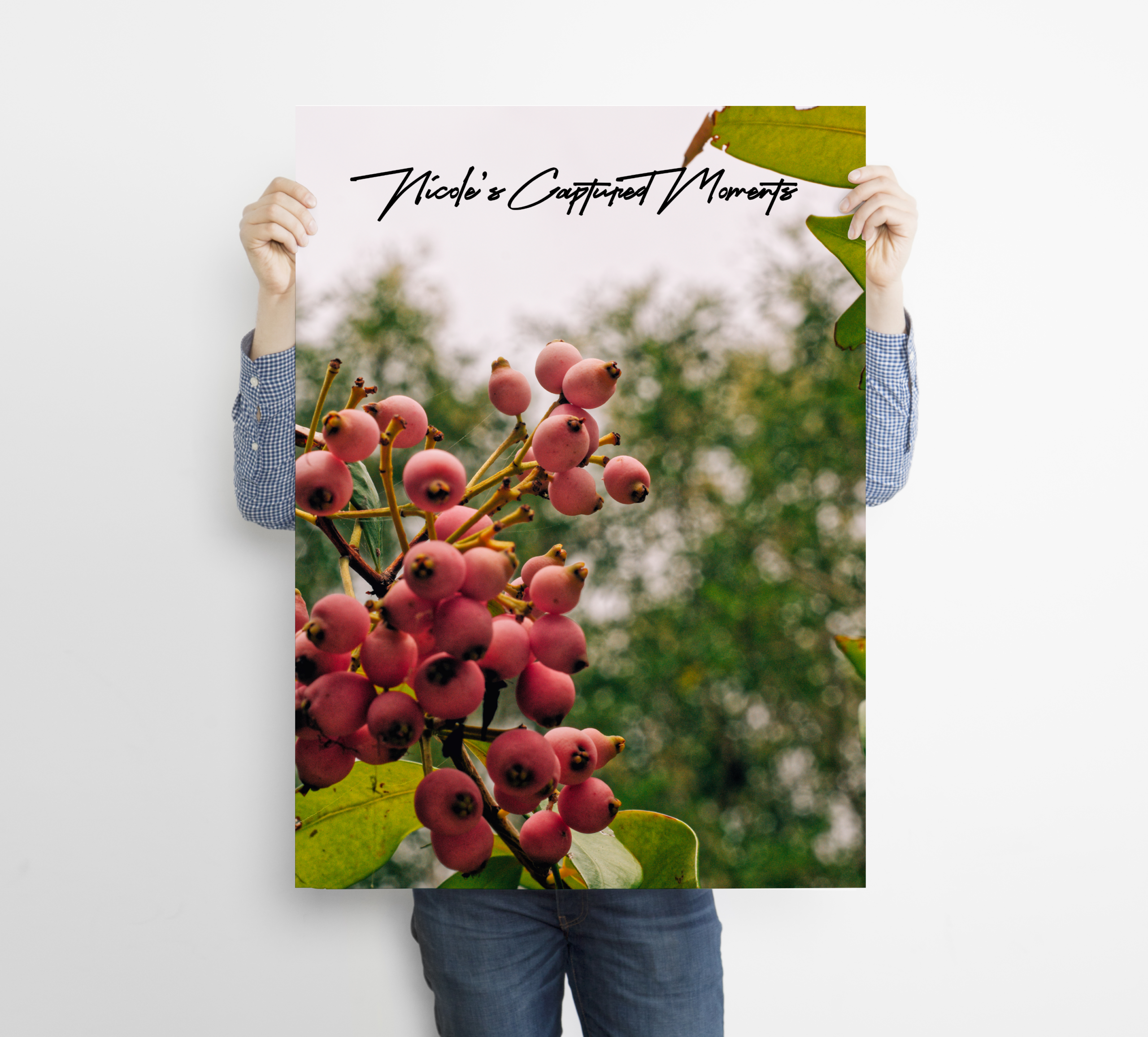 Sensory Gardens - Fine Art Poster