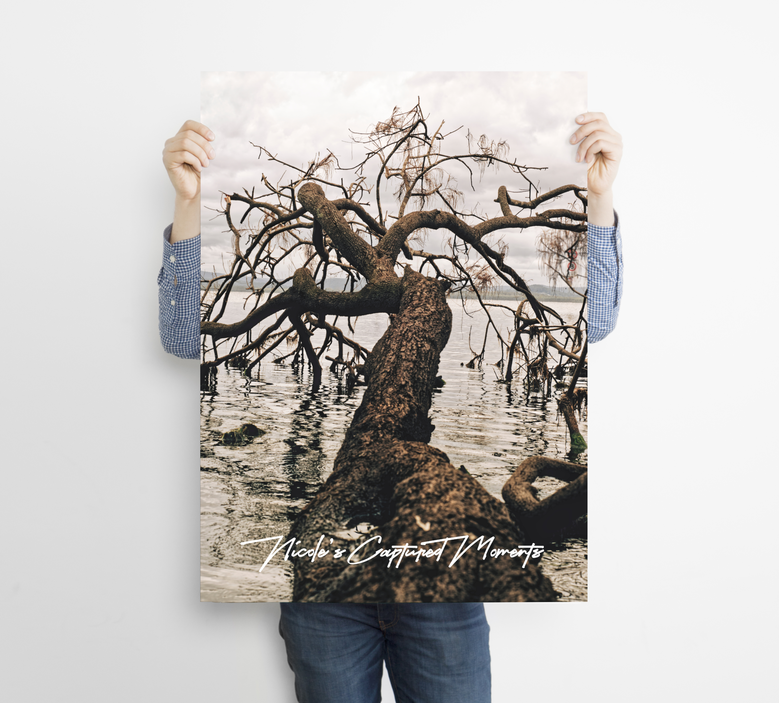 Sensory Gardens - Fine Art Poster