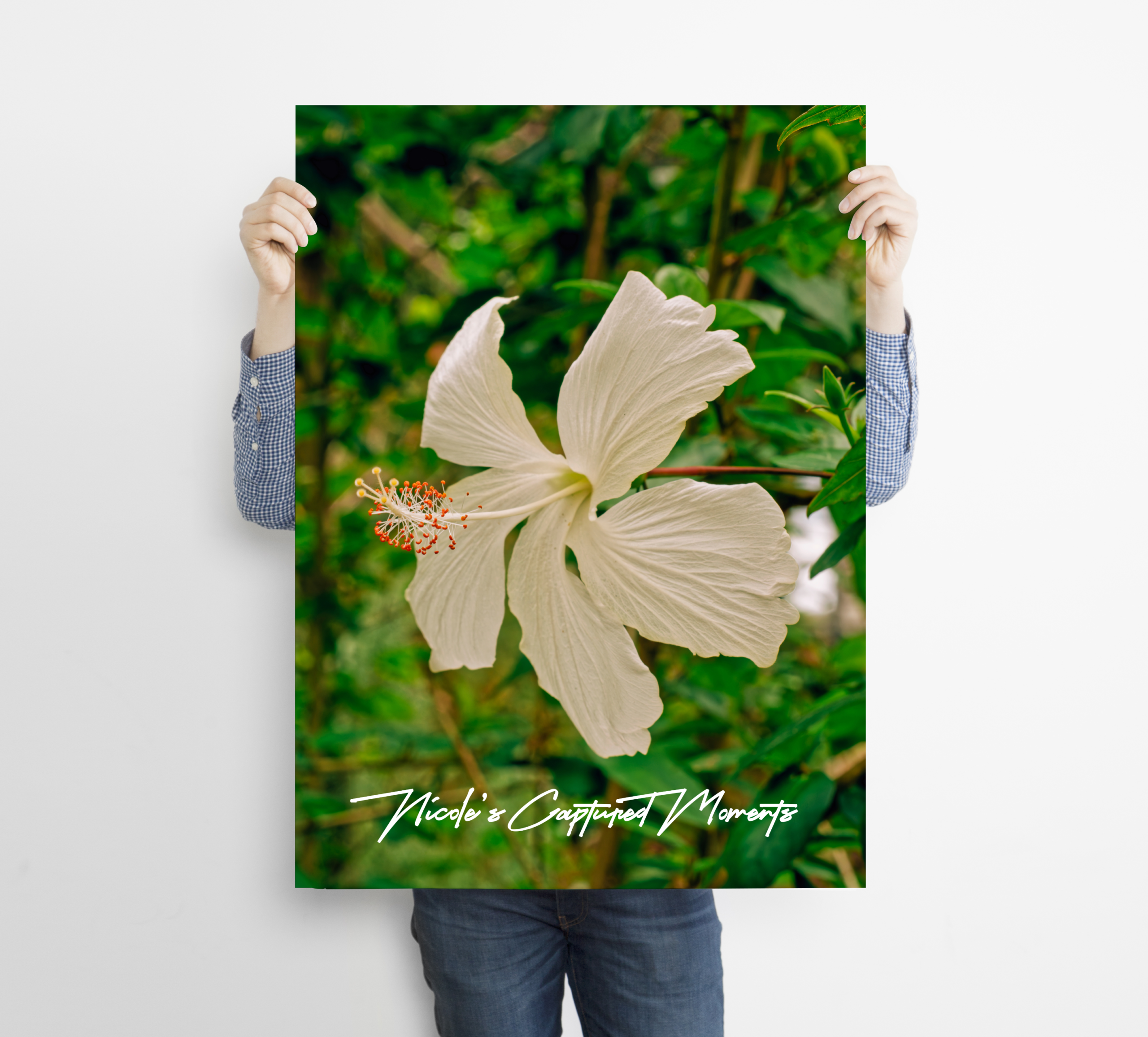 Sensory Gardens - Fine Art Poster