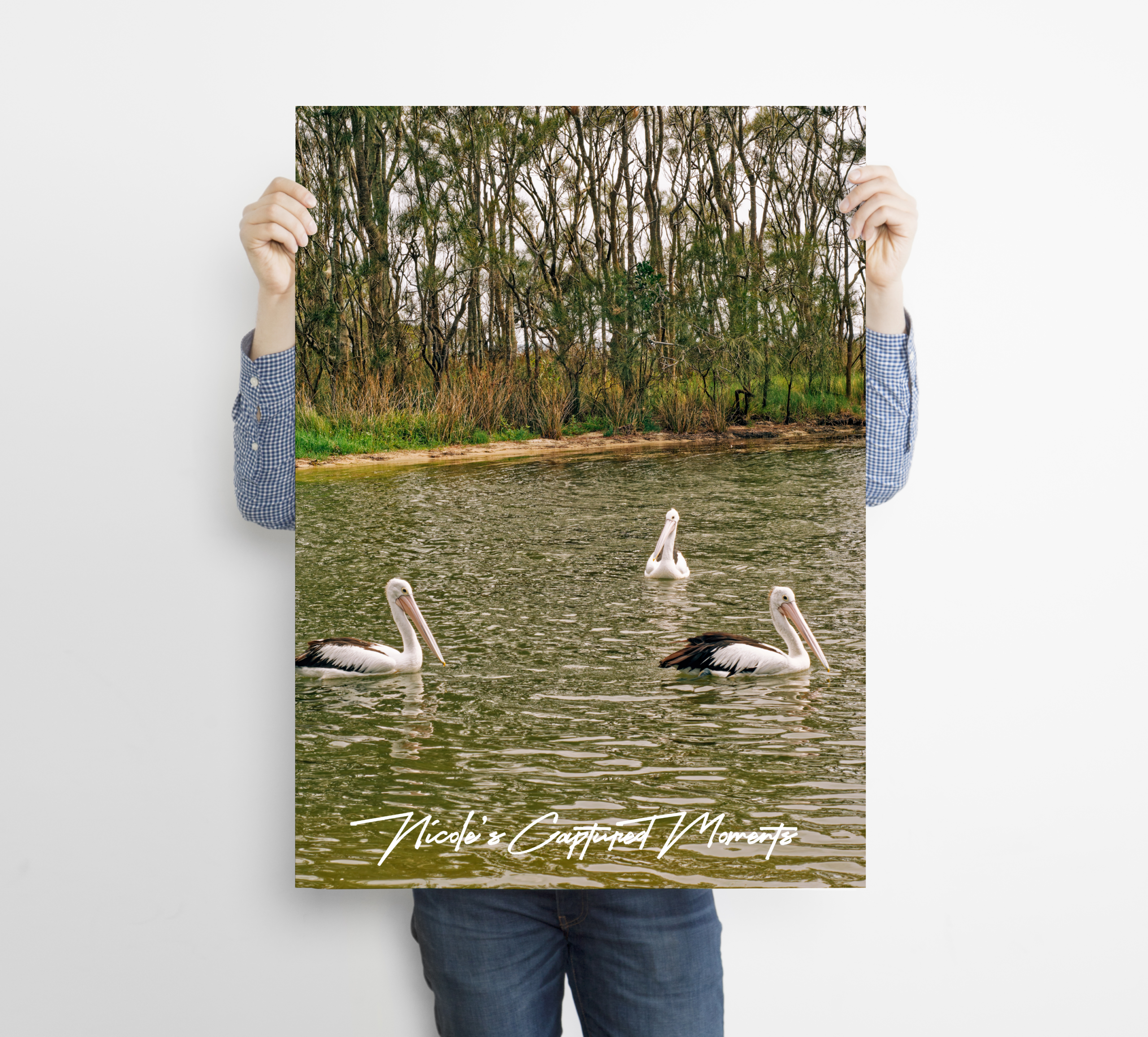 Sensory Gardens - Fine Art Poster